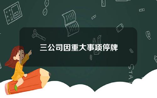 三公司因重大事项停牌