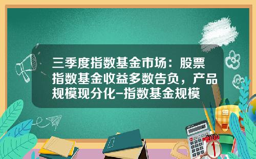 三季度指数基金市场：股票指数基金收益多数告负，产品规模现分化-指数基金规模