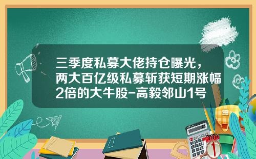 三季度私募大佬持仓曝光，两大百亿级私募斩获短期涨幅2倍的大牛股-高毅邻山1号远望基金