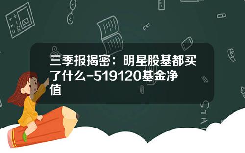 三季报揭密：明星股基都买了什么-519120基金净值