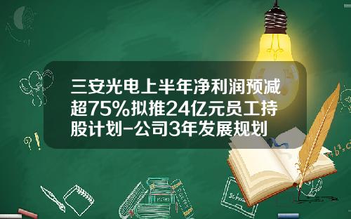 三安光电上半年净利润预减超75%拟推24亿元员工持股计划-公司3年发展规划