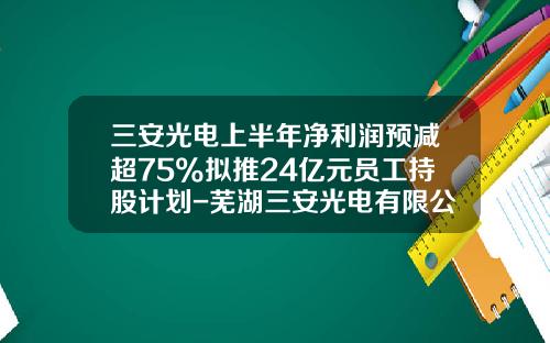 三安光电上半年净利润预减超75%拟推24亿元员工持股计划-芜湖三安光电有限公司