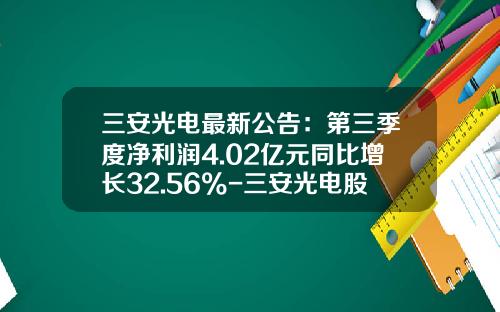 三安光电最新公告：第三季度净利润4.02亿元同比增长32.56%-三安光电股份有限公司2013年报