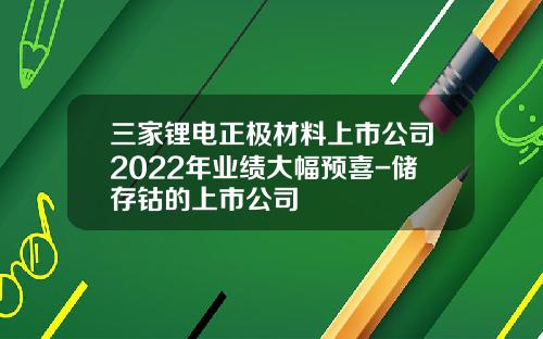 三家锂电正极材料上市公司2022年业绩大幅预喜-储存钴的上市公司