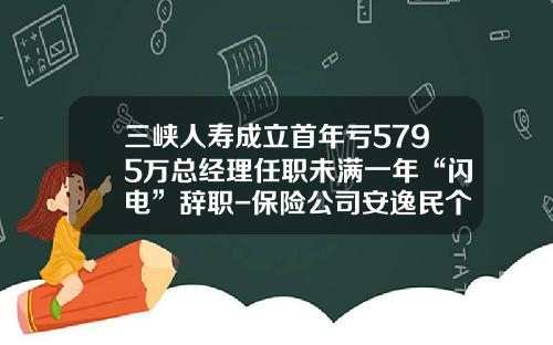 三峡人寿成立首年亏5795万总经理任职未满一年“闪电”辞职-保险公司安逸民个人资料