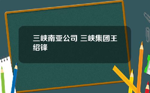 三峡南亚公司 三峡集团王绍锋