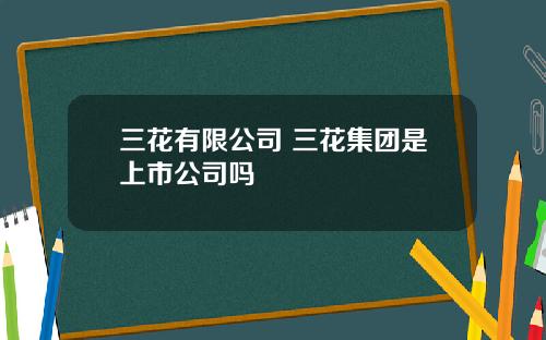 三花有限公司 三花集团是上市公司吗