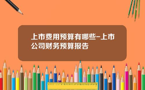 上市费用预算有哪些-上市公司财务预算报告