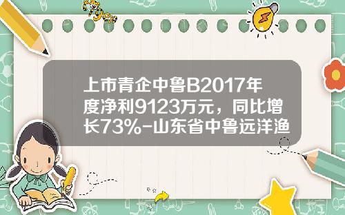 上市青企中鲁B2017年度净利9123万元，同比增长73%-山东省中鲁远洋渔业股份有限公司