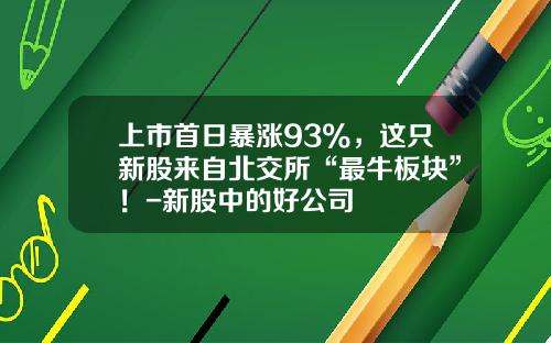 上市首日暴涨93%，这只新股来自北交所“最牛板块”！-新股中的好公司