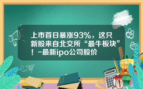 上市首日暴涨93%，这只新股来自北交所“最牛板块”！-最新ipo公司股价