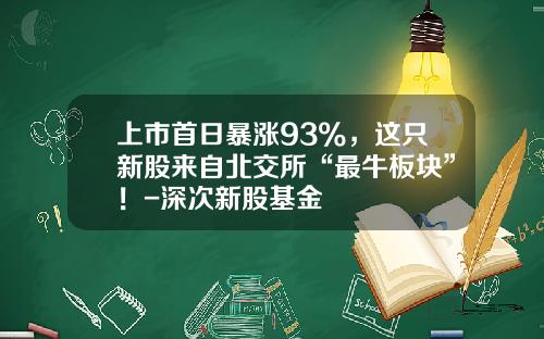 上市首日暴涨93%，这只新股来自北交所“最牛板块”！-深次新股基金