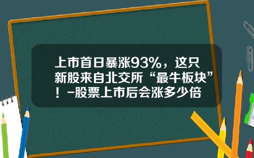 上市首日暴涨93%，这只新股来自北交所“最牛板块”！-股票上市后会涨多少倍