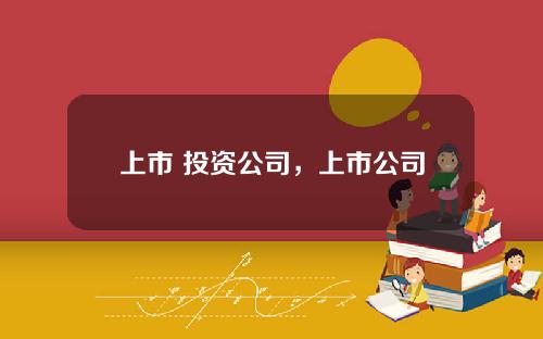 上市 投资公司，上市公司