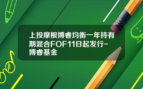 上投摩根博睿均衡一年持有期混合FOF11日起发行-博睿基金
