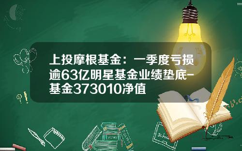 上投摩根基金：一季度亏损逾63亿明星基金业绩垫底-基金373010净值