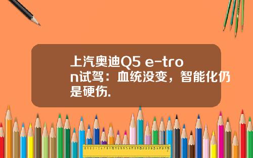 上汽奥迪Q5 e-tron试驾：血统没变，智能化仍是硬伤.
