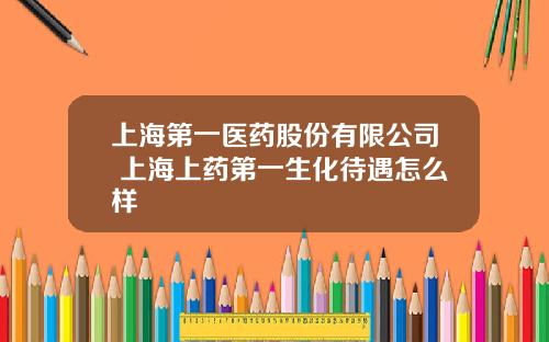上海第一医药股份有限公司 上海上药第一生化待遇怎么样
