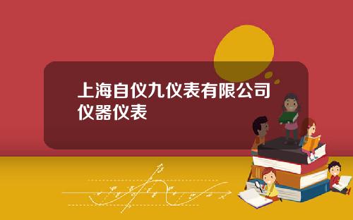 上海自仪九仪表有限公司 仪器仪表