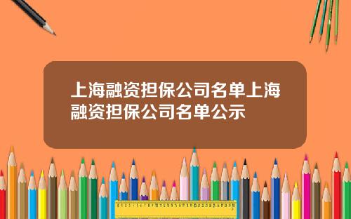 上海融资担保公司名单上海融资担保公司名单公示