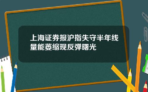 上海证券报沪指失守半年线量能萎缩现反弹曙光