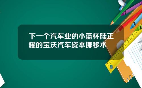下一个汽车业的小蓝杯陆正耀的宝沃汽车资本挪移术