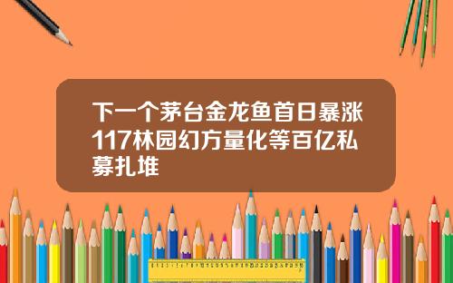 下一个茅台金龙鱼首日暴涨117林园幻方量化等百亿私募扎堆