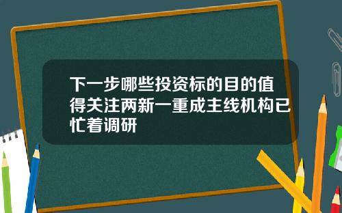 下一步哪些投资标的目的值得关注两新一重成主线机构已忙着调研