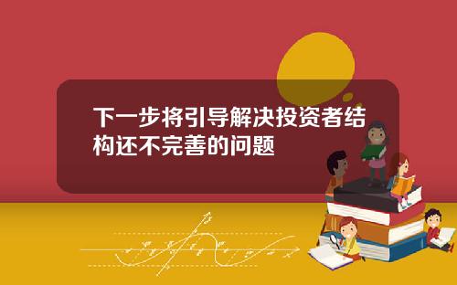 下一步将引导解决投资者结构还不完善的问题