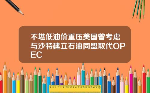 不堪低油价重压美国曾考虑与沙特建立石油同盟取代OPEC