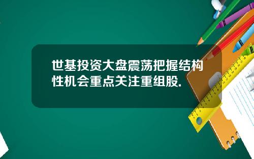 世基投资大盘震荡把握结构性机会重点关注重组股.