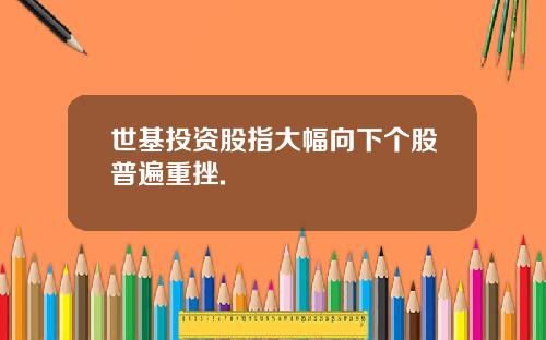 世基投资股指大幅向下个股普遍重挫.