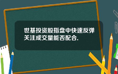 世基投资股指盘中快速反弹关注成交量能否配合.