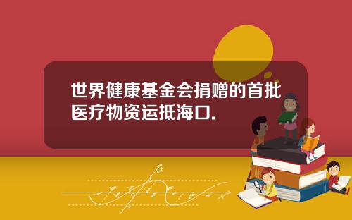 世界健康基金会捐赠的首批医疗物资运抵海口.