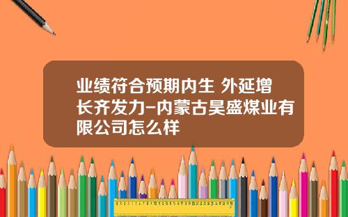 业绩符合预期内生+外延增长齐发力-内蒙古昊盛煤业有限公司怎么样