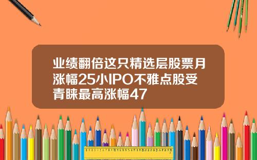 业绩翻倍这只精选层股票月涨幅25小IPO不雅点股受青睐最高涨幅47