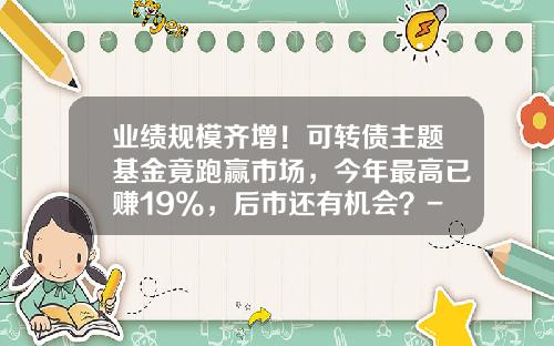 业绩规模齐增！可转债主题基金竟跑赢市场，今年最高已赚19%，后市还有机会？-可转债基金怎么样