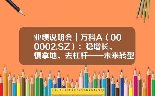 业绩说明会｜万科A（000002.SZ）：稳增长、慎拿地、去杠杆——未来转型追求稳中求进探索租赁住宅微利可持续发展的商业模式-2013年万科公司财务报表