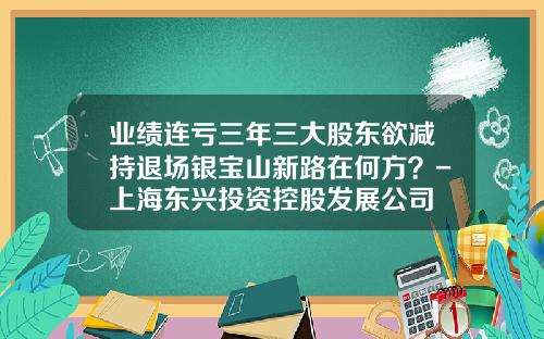 业绩连亏三年三大股东欲减持退场银宝山新路在何方？-上海东兴投资控股发展公司