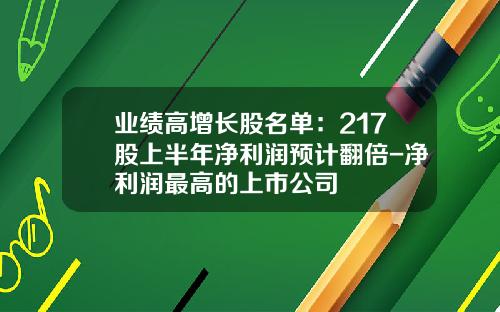 业绩高增长股名单：217股上半年净利润预计翻倍-净利润最高的上市公司