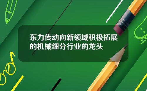 东力传动向新领域积极拓展的机械细分行业的龙头