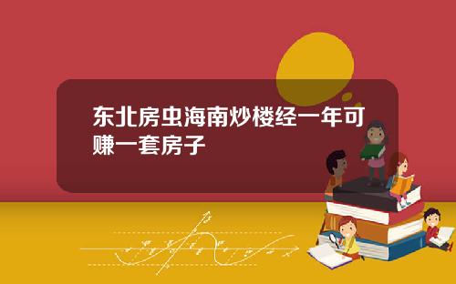 东北房虫海南炒楼经一年可赚一套房子
