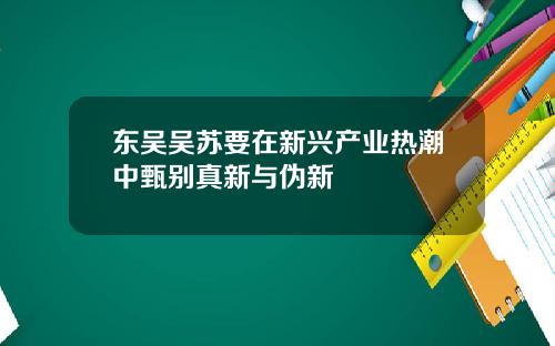 东吴吴苏要在新兴产业热潮中甄别真新与伪新