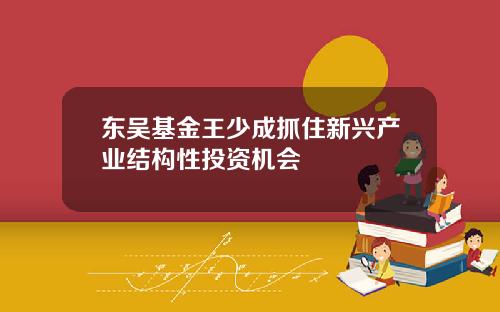 东吴基金王少成抓住新兴产业结构性投资机会