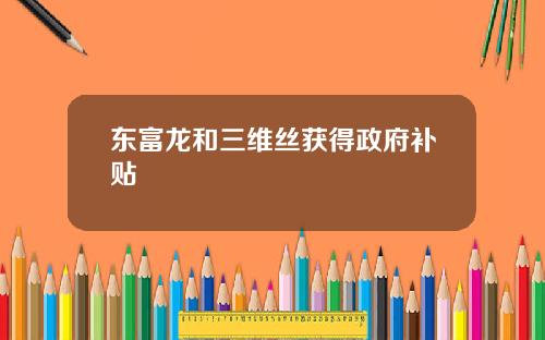 东富龙和三维丝获得政府补贴