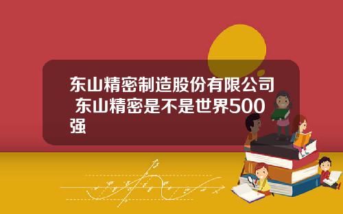 东山精密制造股份有限公司 东山精密是不是世界500强