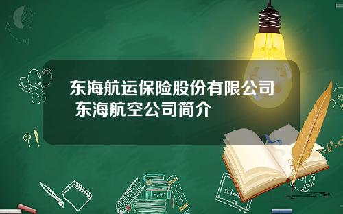 东海航运保险股份有限公司 东海航空公司简介