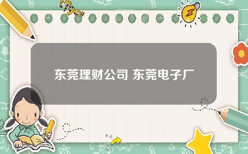 东莞理财公司 东莞电子厂