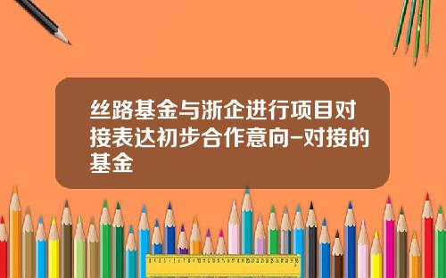 丝路基金与浙企进行项目对接表达初步合作意向-对接的基金