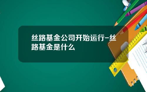 丝路基金公司开始运行-丝路基金是什么
